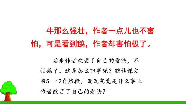 牛和鹅PPT课件57