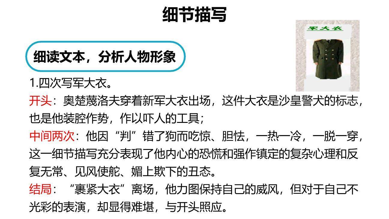 变色龙PPT课件63