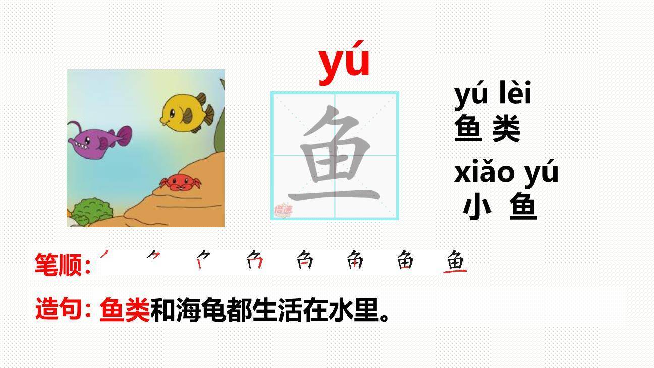 荷叶圆圆PPT课件11