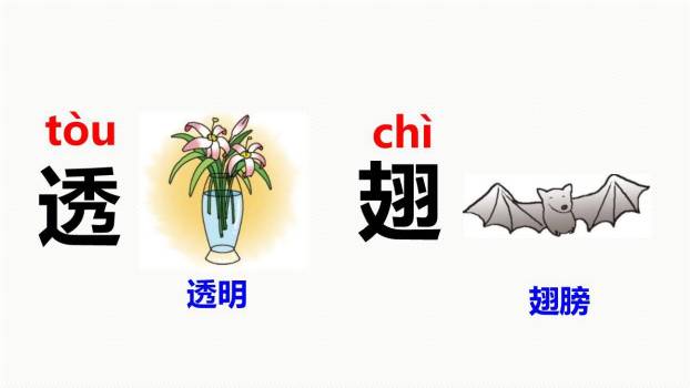 荷叶圆圆PPT课件17