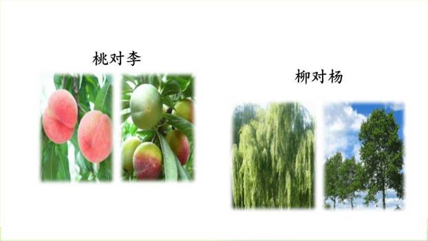 古对今PPT课件56