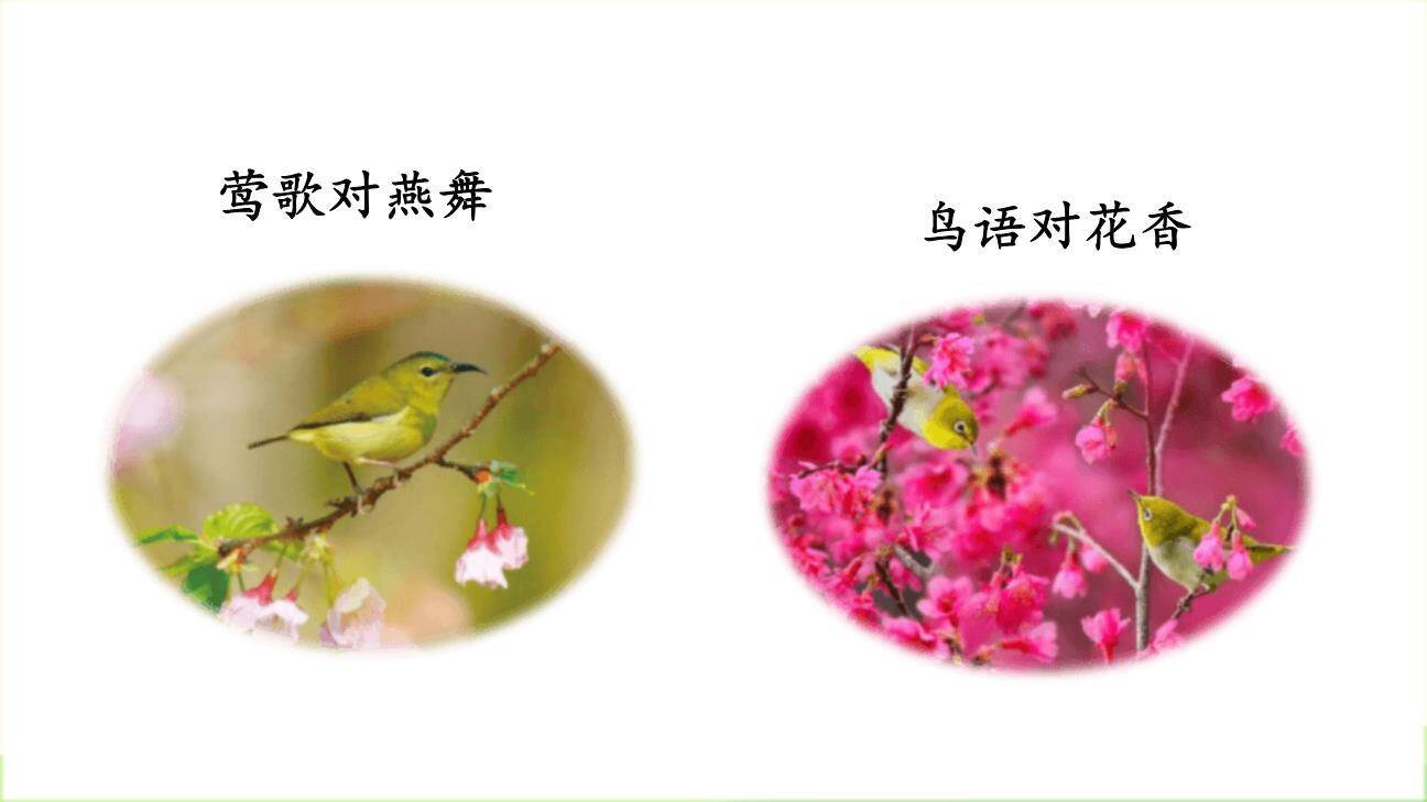 古对今PPT课件57