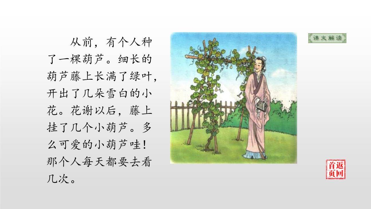 我要的是葫芦PPT课件34