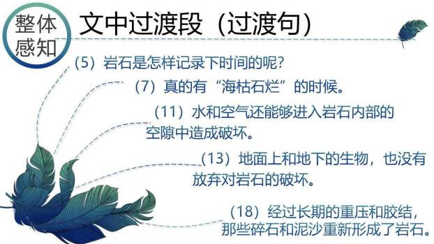 时间的脚印PPT课件52