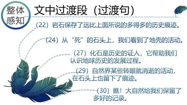 时间的脚印PPT课件53