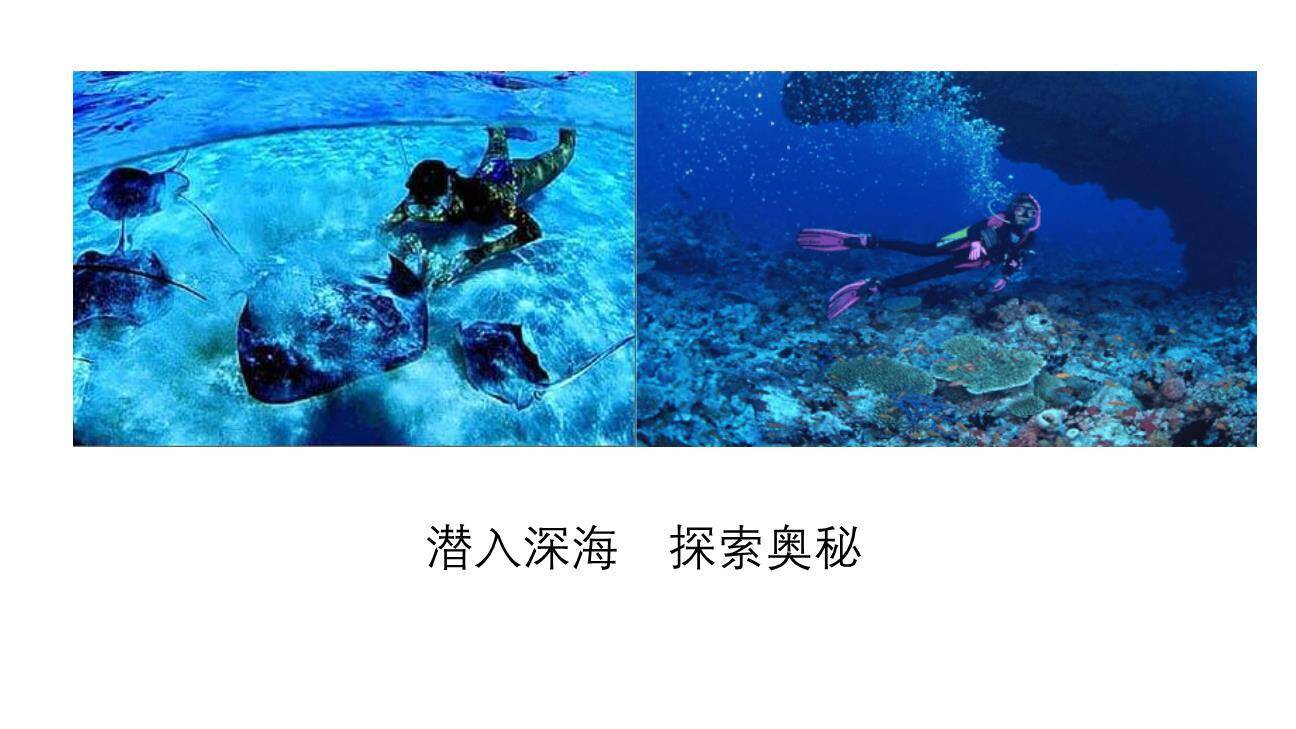 呼风唤雨的世纪PPT课件28