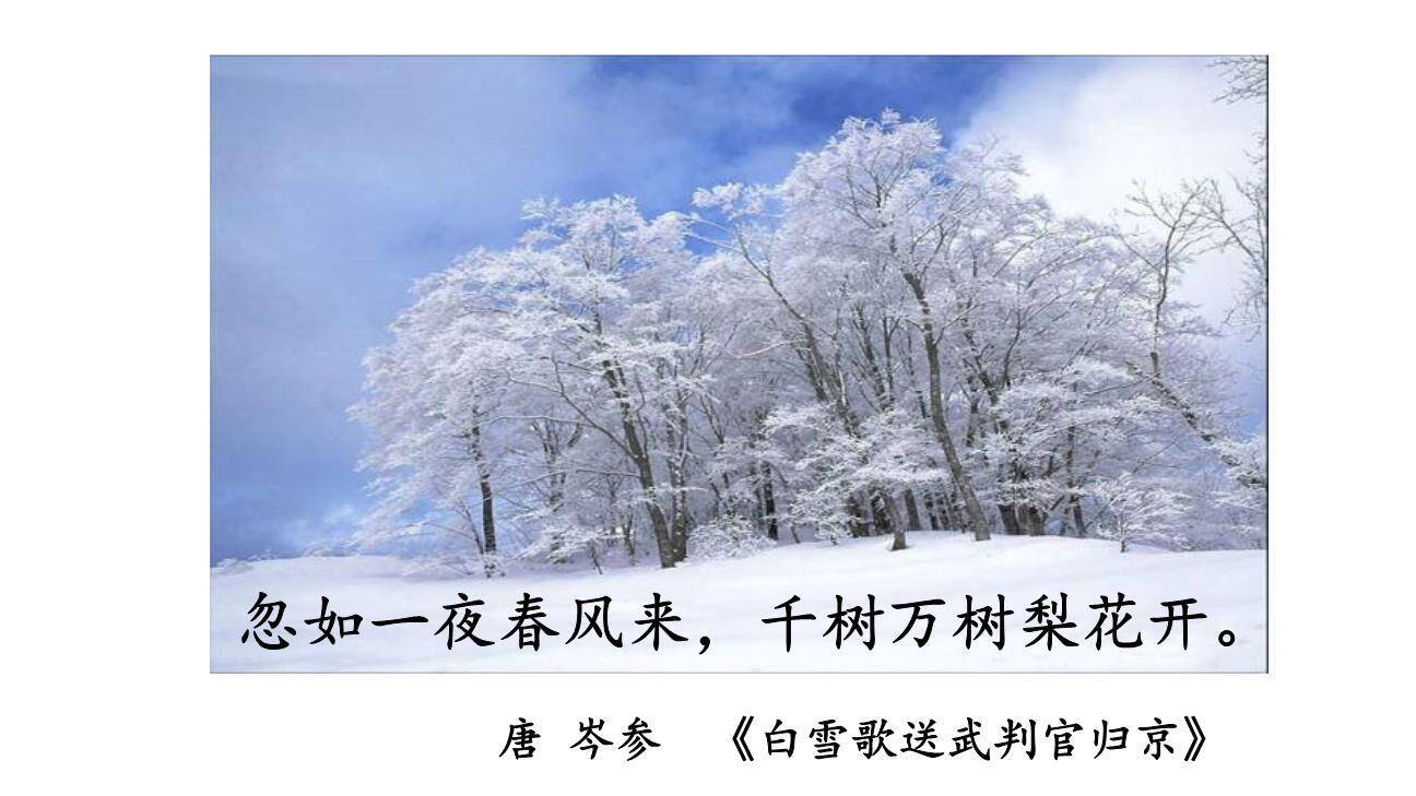 呼风唤雨的世纪PPT课件22