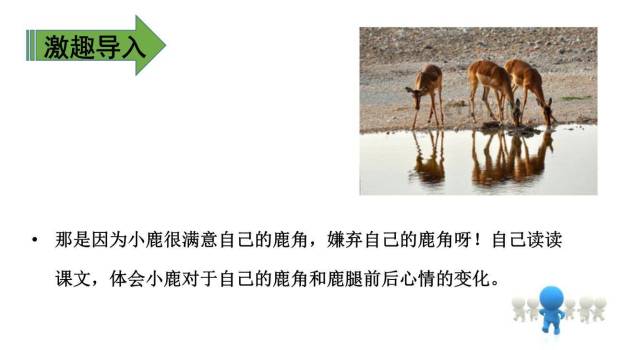 美丽的鹿角PPT课件25