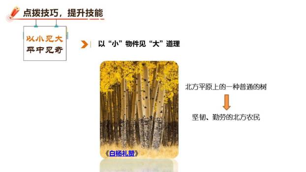 变色龙PPT课件23