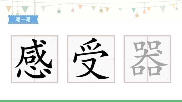 大自然的声音PPT课件38