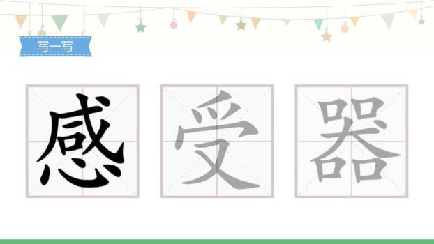 大自然的声音PPT课件37