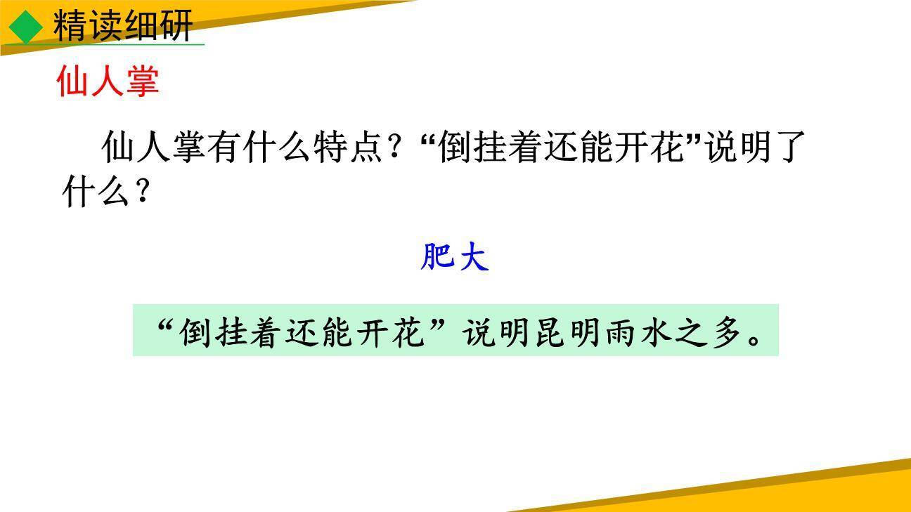 昆明的雨PPT课件74