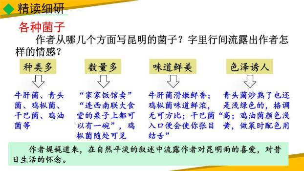 昆明的雨PPT课件75