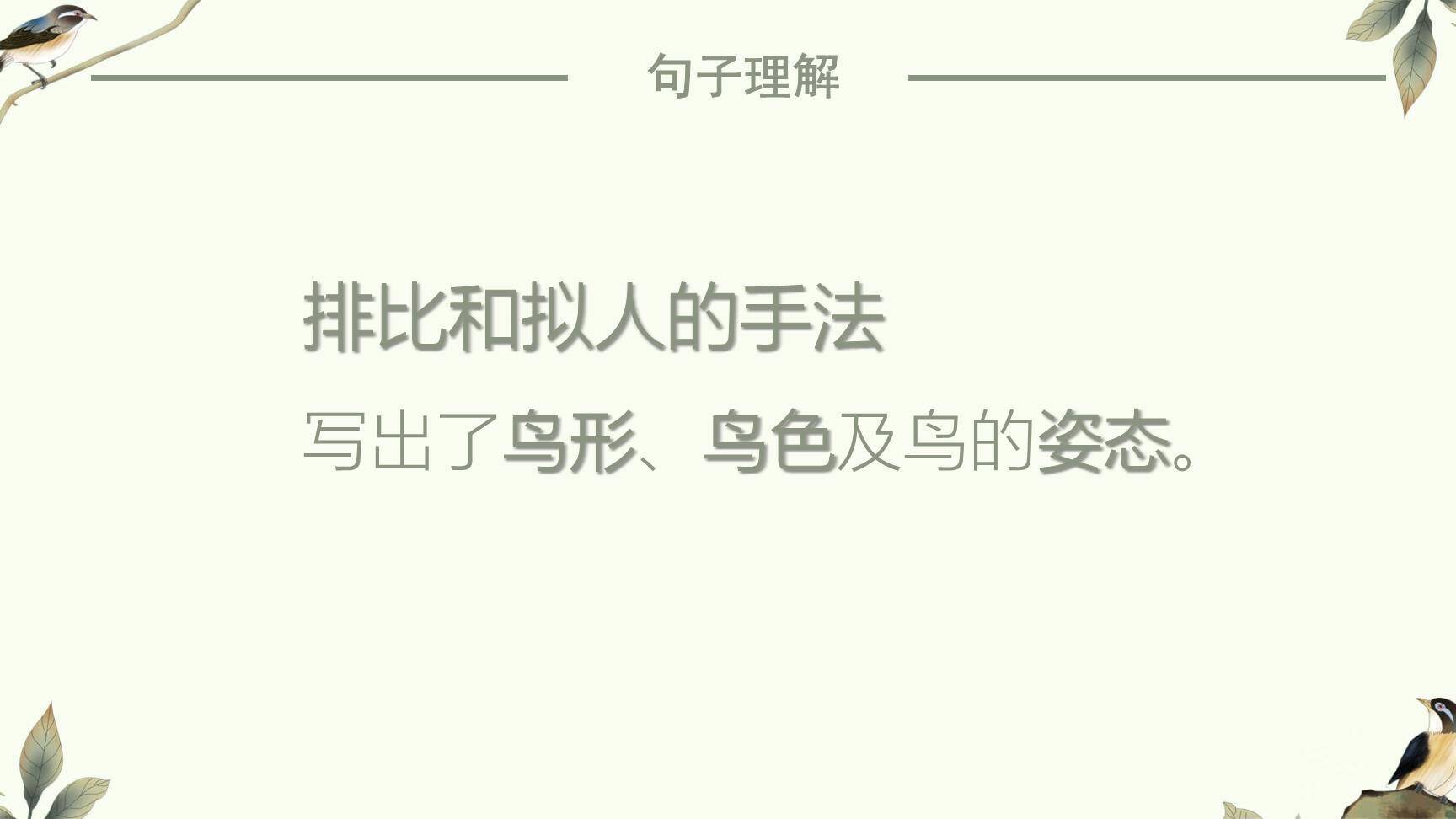 鸟的天堂PPT课件28