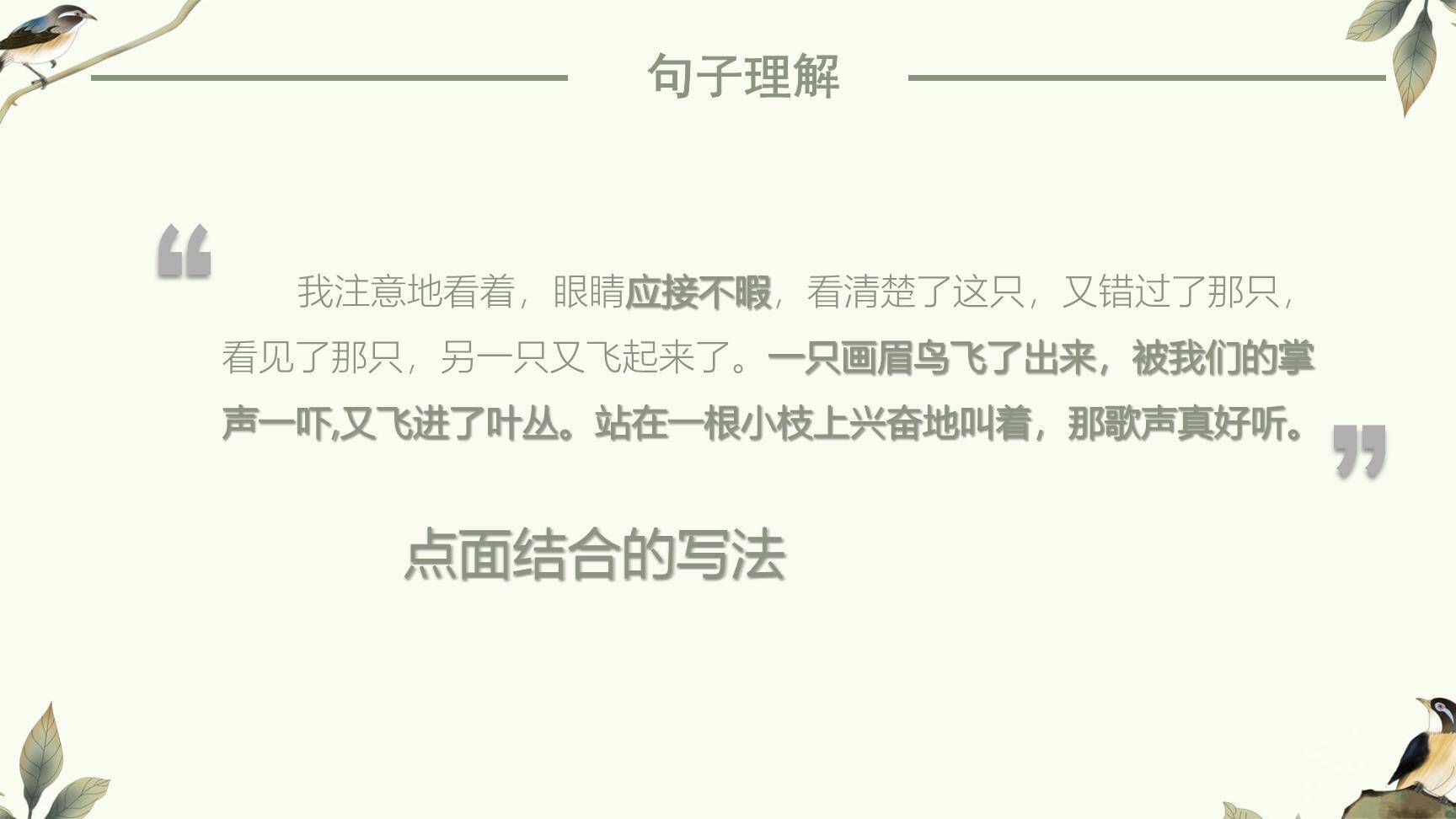 鸟的天堂PPT课件29