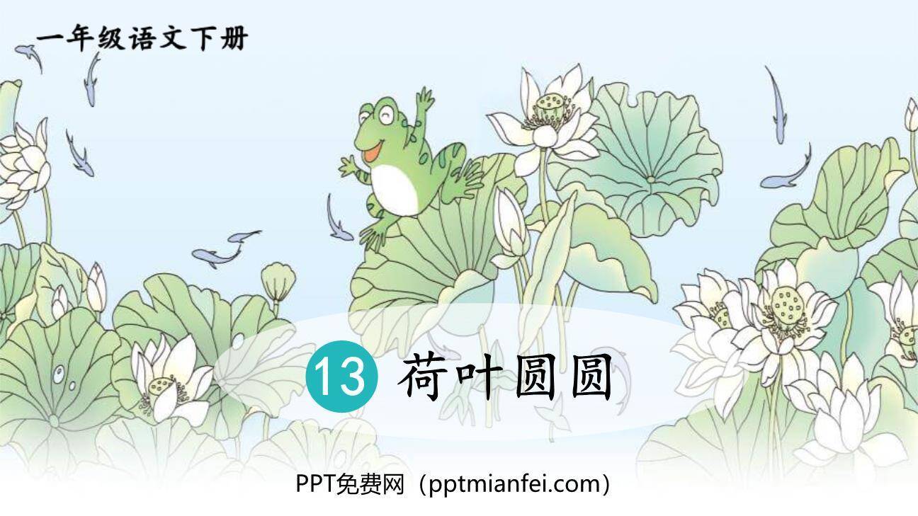 荷叶圆圆PPT课件60