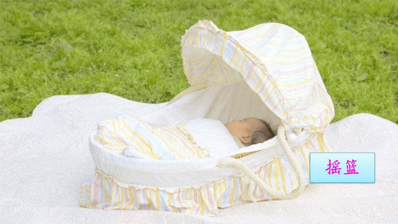 荷叶圆圆PPT课件61