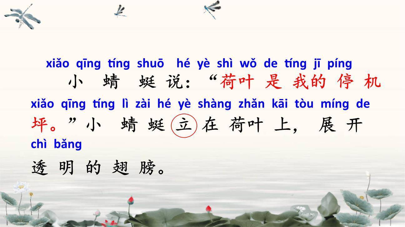 荷叶圆圆PPT课件67