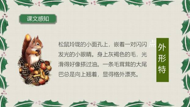 松鼠PPT课件16