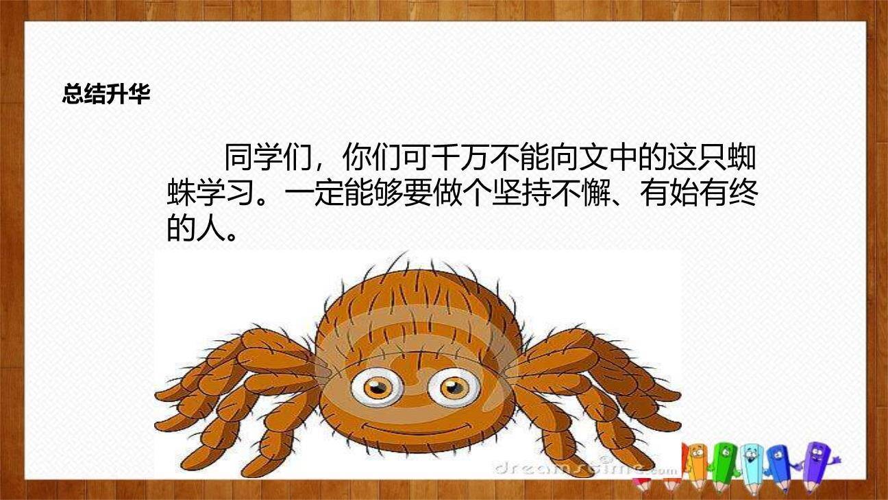 蜘蛛开店PPT课件45