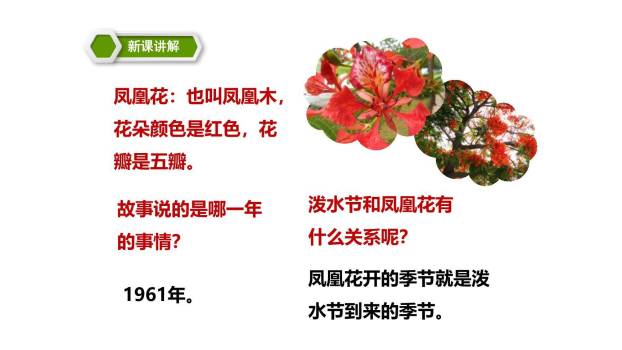 难忘的泼水节PPT课件35