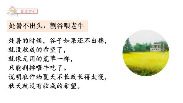 夏天里的成长PPT课件78