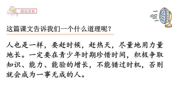 夏天里的成长PPT课件79