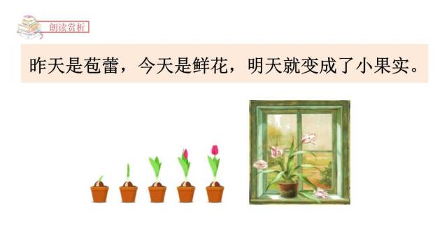 夏天里的成长PPT课件72