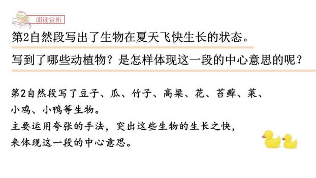 夏天里的成长PPT课件74