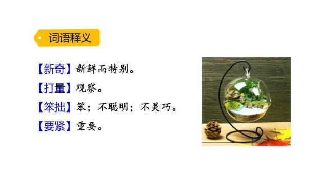 小毛虫PPT课件64