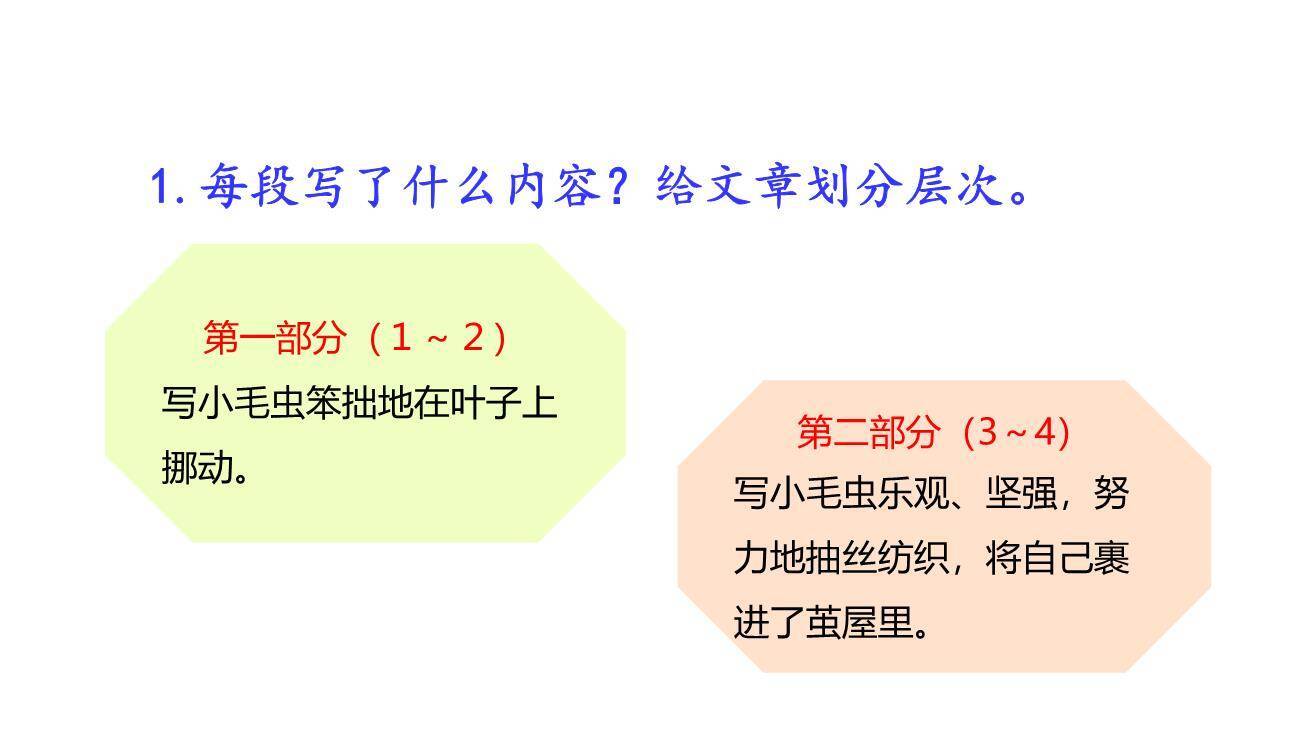 小毛虫PPT课件66