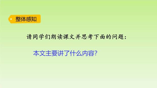 一匹出色的马PPT课件23