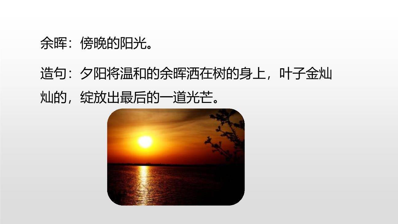 我们奇妙的世界PPT课件63