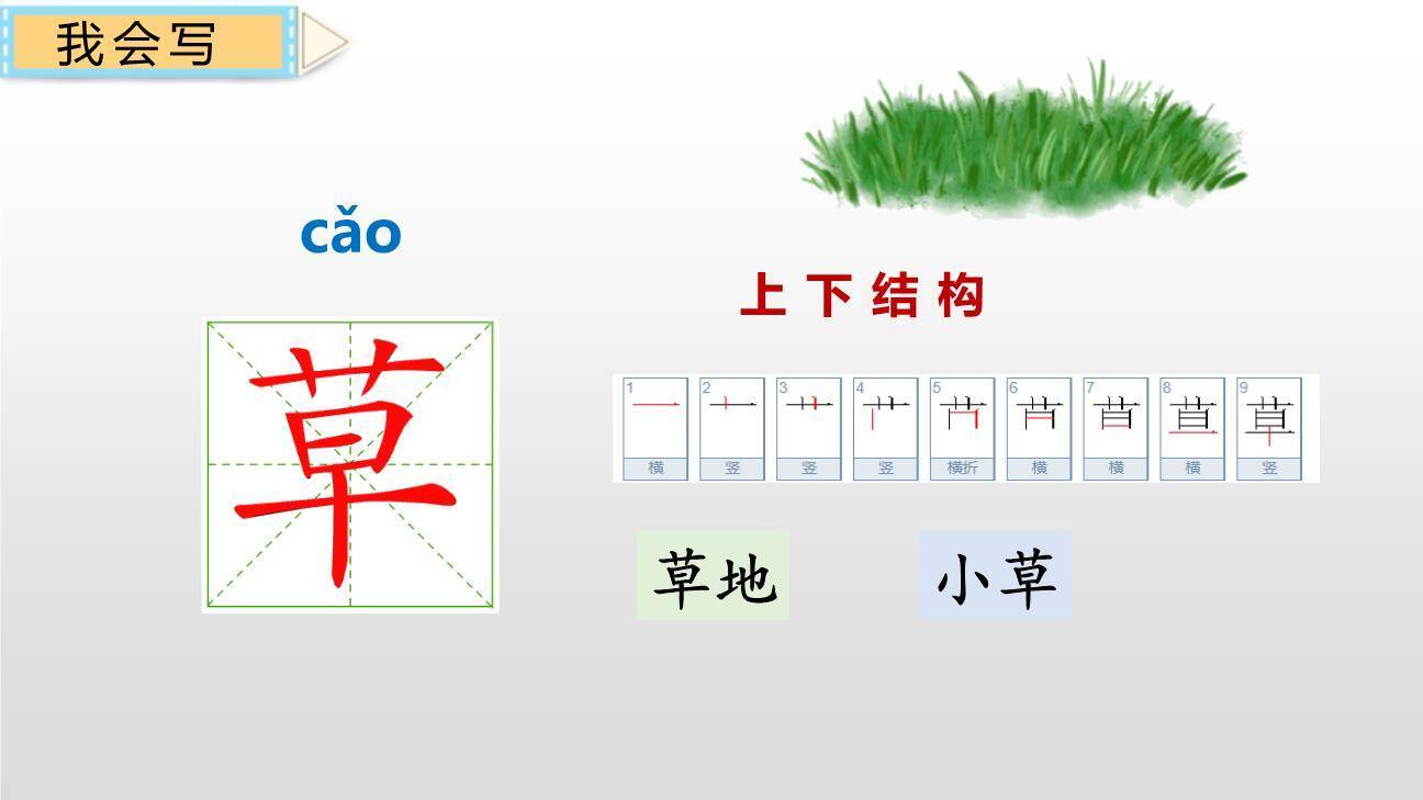 小壁虎借尾巴PPT课件55