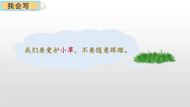 小壁虎借尾巴PPT课件56