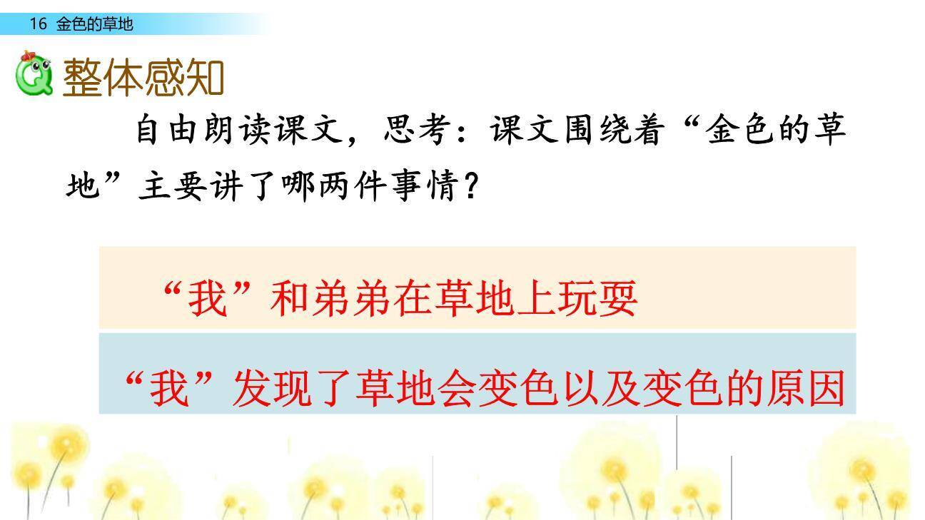 金色的草地PPT课件78