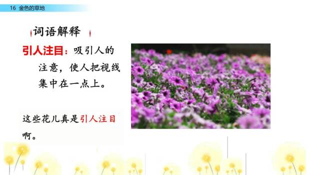 金色的草地PPT课件75