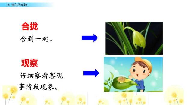 金色的草地PPT课件77