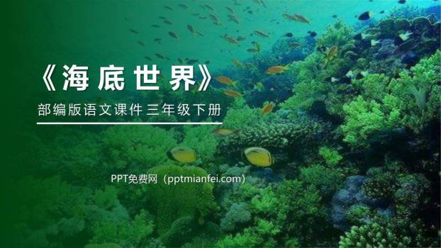 海底世界PPT课件50