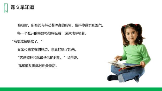 父亲树林和鸟PPT课件33