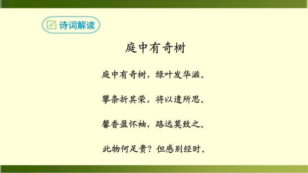 庭中有奇树PPT课件23