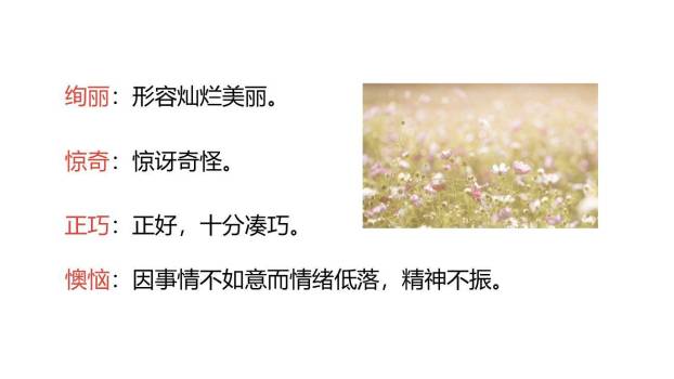 开满鲜花的小路PPT课件45