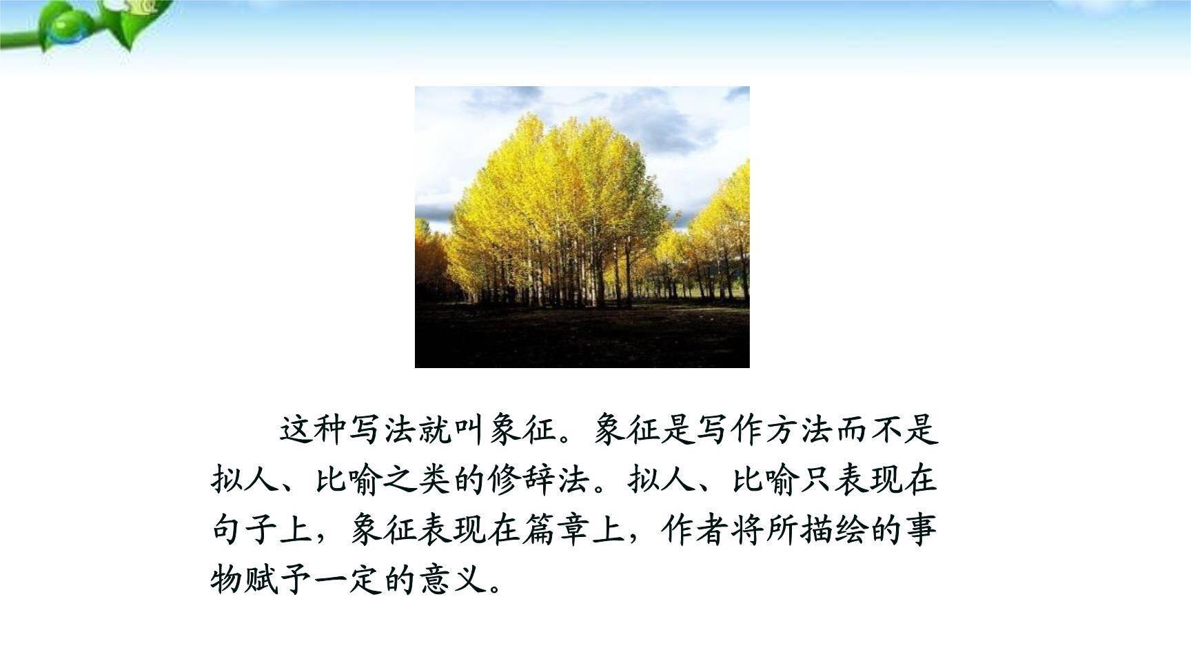 白杨礼赞PPT课件78