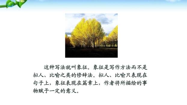 白杨礼赞PPT课件78