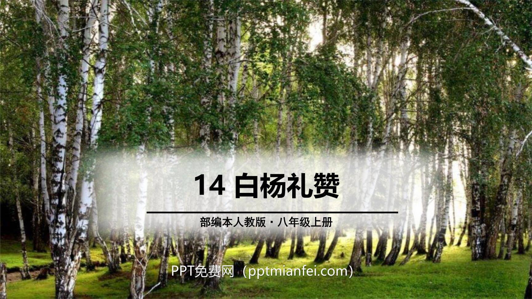白杨礼赞PPT课件70