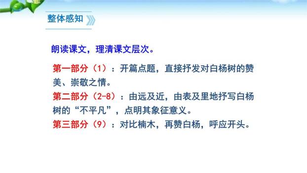 白杨礼赞PPT课件71