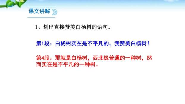 白杨礼赞PPT课件72