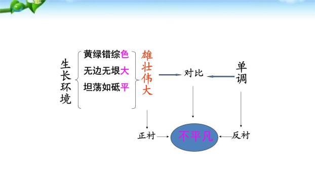 白杨礼赞PPT课件75