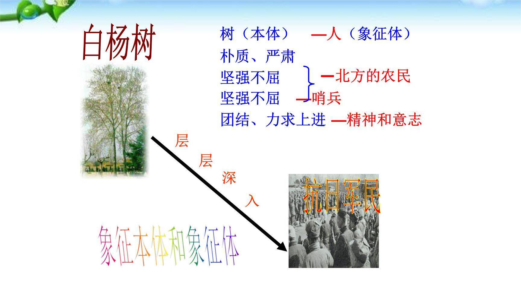 白杨礼赞PPT课件77