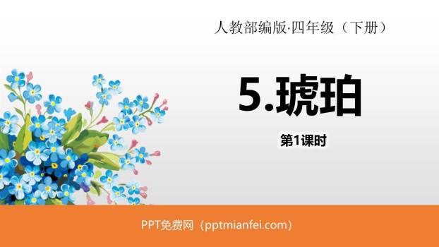 琥珀PPT课件60